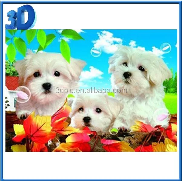 3d picture