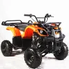 /product-detail/2019-new-4-wheeler-atv-for-adults-quad-bike-125cc-atv-62180983229.html