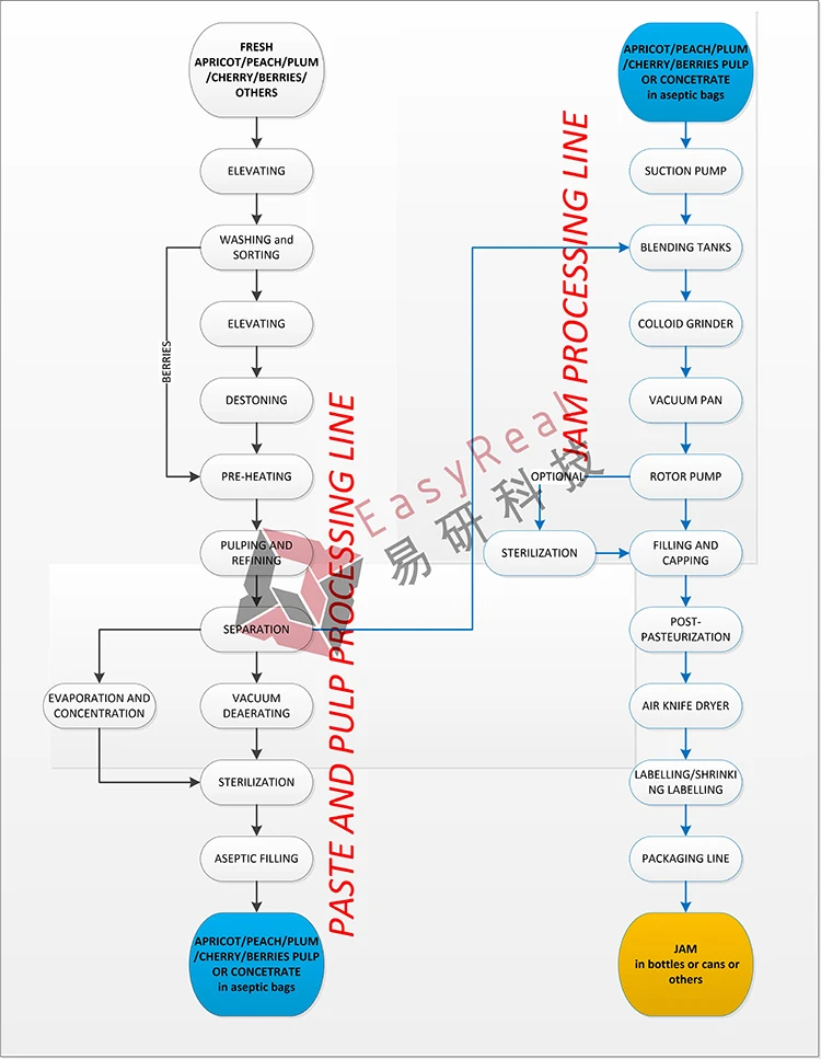 Multifunctional High Quality Ginger Garlic Onion Chili Puree Paste Jam