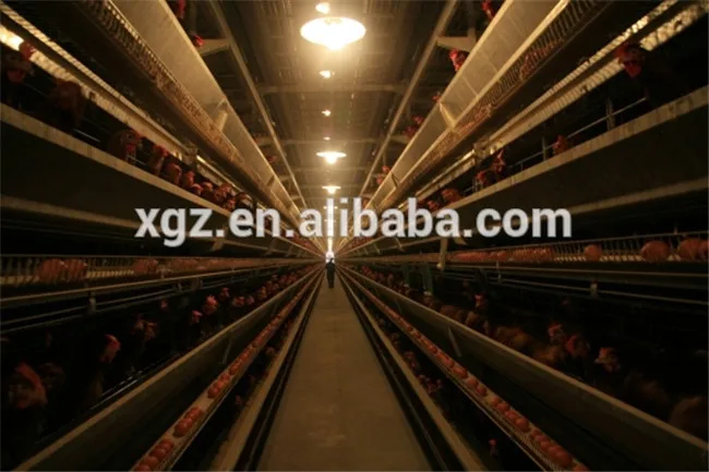 full automatic prefab chicken egg poultry farm