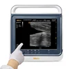 Pt60 color 4D ultrasound, Laptop ultrasound machine for animalsPortable color USG with big LCD monitor