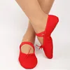 Amazon top sale women breathable flat canvas ballet dance shoes for kids
