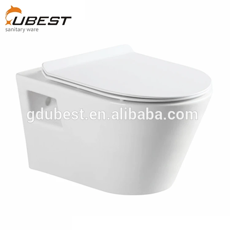 Concealed Tank Water Ridge One Piece Dual Flush Ceramic Washdown Toilet