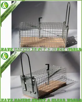 humane rat traps
