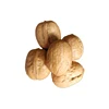 ground walnut shells,paper walnut,walnut impoter