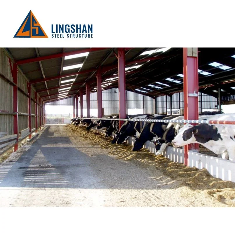 fast fabricated  light steel structure prefabricated cow shed farm building houses barn dairy shed design cow