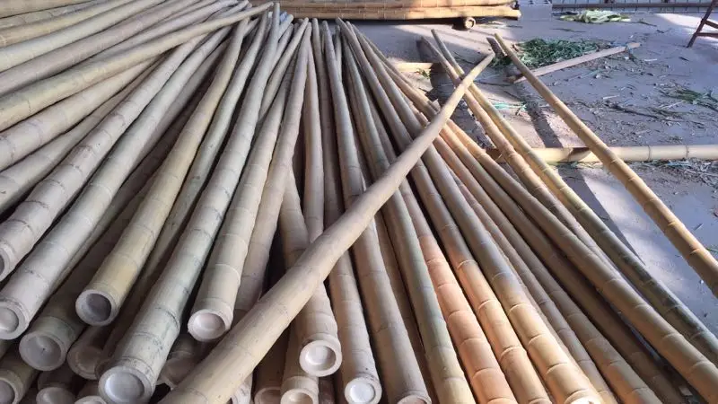 High Quality Moso Bamboo Pole Bamboo Cane Cheap Bamboo Poles For ...