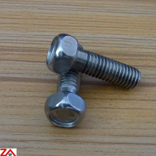 Special Pentagon Head Bolt Buy Special Bolt,Special Head Bolt,Special