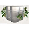 Pure tea tree essential oil bulk wholesale