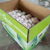 /product-detail/2018-china-fresh-garlicl-white-garlic-with-good-quality-60785546522.html