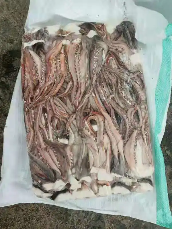 squid tentacles 1