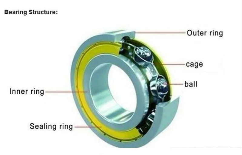 Back bearing