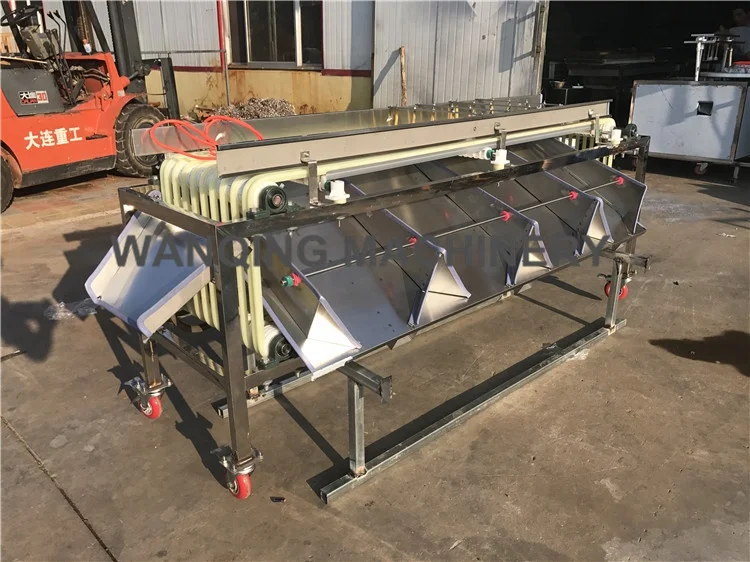 2017-08-03 173609_.jpg