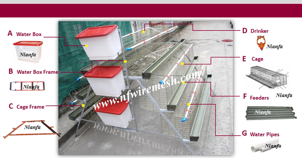 2016 Africa hot sale 3/4 layer chicken battery cage/design layer chicken cages (Guangzhou Factory)