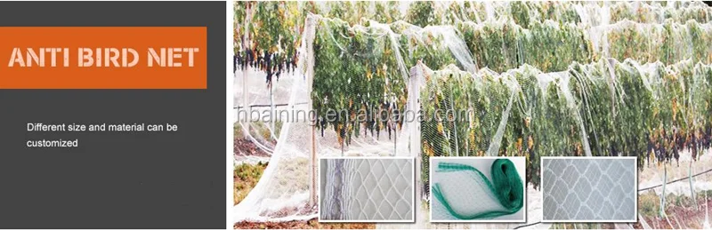 Virgin Hdpe Agricultural Anti Bird Net Protect Fruits Trees With Uv
