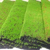artificial moss carpet mat roll for decoration