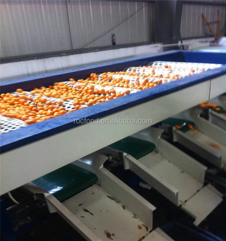 黄色いオレンジ色の果物 赤い果物の名前 Buy 赤ちゃんみかんオレンジ みかんの 蜂蜜オレンジ Product On Alibaba Com