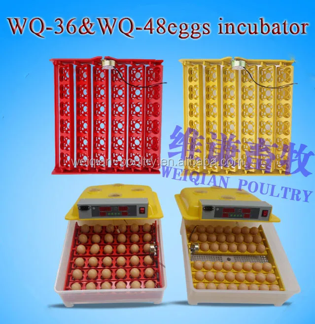 Weiqian Mini Incubadora De Huevos De Codorniz Wq 36 Codorniz 36 Huevos O 144 Buy Incubadora De Huevos De Codorniz Mini Incubadora De Huevos Jn12 Mini Incubadora Automatica De Huevos De Pollo Product On Alibaba Com