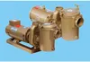High-lift cast copper swimming pool water pump for large swimming pool