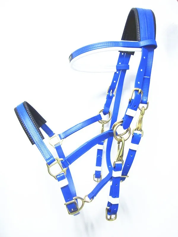 Synthetic Endurance Horse Racing Equipment Buy Horse Racing Equipment
