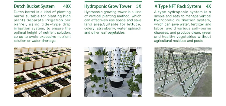 aquaponics system (4).jpg