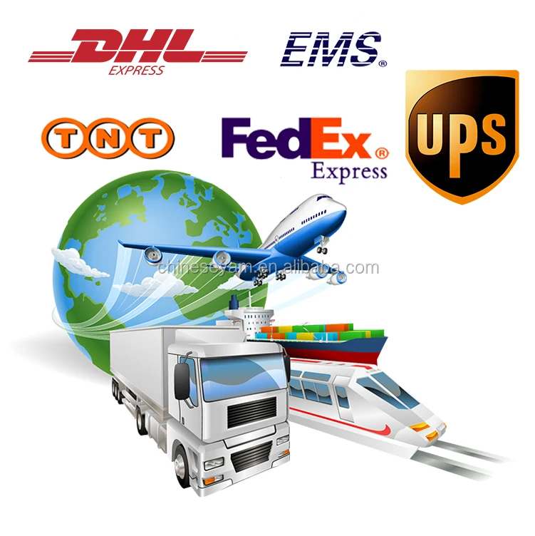 chinese dried half white lotus seed