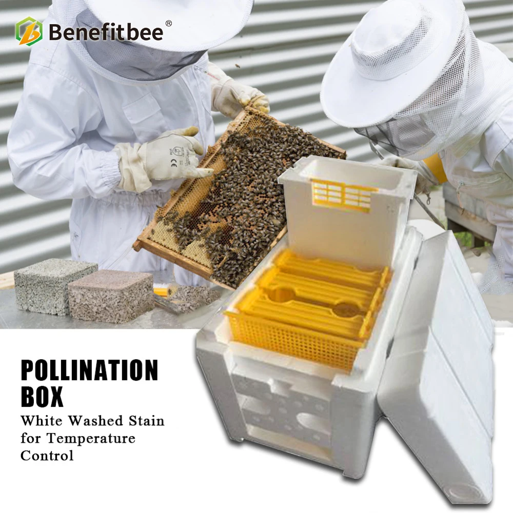 Benefitbee Plastic Box For Bee Honey Queen Bee Hive Nuc Box Mini Bee