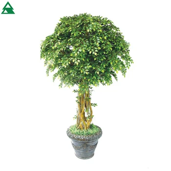 Artificial Plastic Evergreen Mini Decorative Pot Banyan Tree For