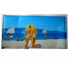 roll up window sunshades sun shade auto
