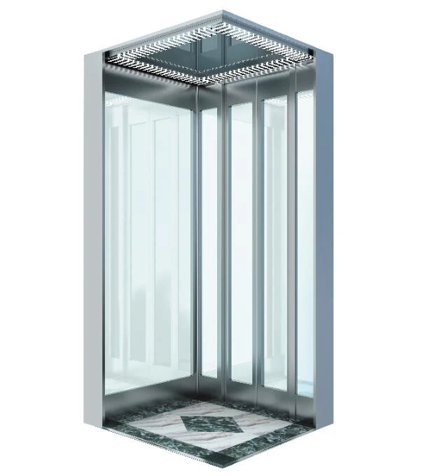 
Safety UPS Villa passenger Elevator Lift 