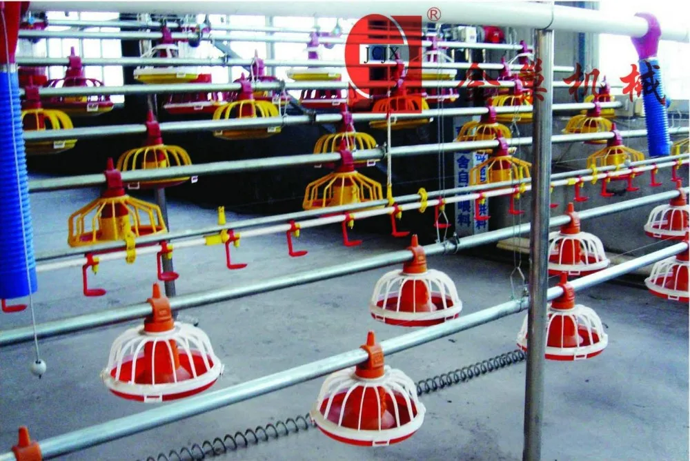 Broiler Feeding Pan system for Poultry Equipment Auger feeder in Brioler Farm