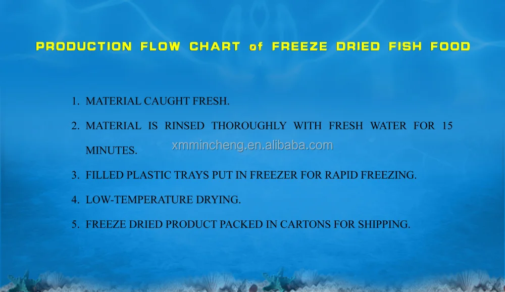 PRODUCTION FLOW CHART of FREEZE DRIED FISH FOOD.jpg