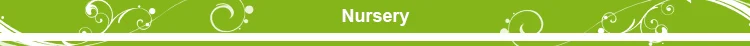 nursery.jpg