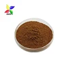 100% Pure Kola Nut Extract , Bitter Kola Nuts Powder 10% Theobromine