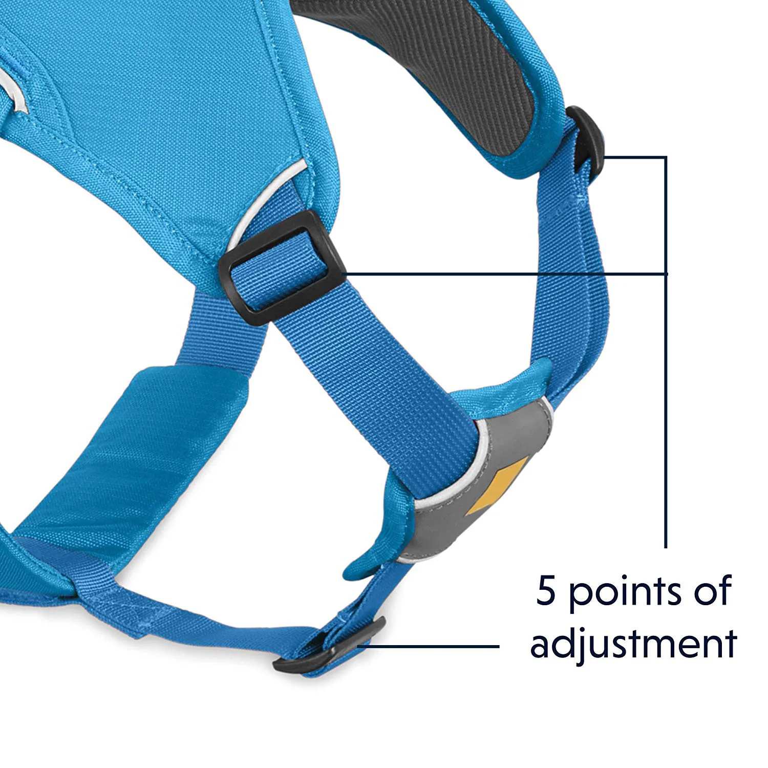 dog  harness  (2).jpg