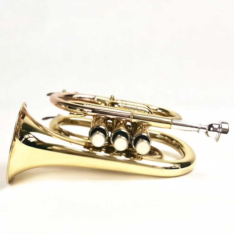 Brass Instrument Professional Gold Lacquer Yellow Brass Pocket Trumpet