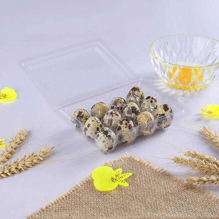12 Holes Quail Egg Tray Packing Clear Disposable Plastic Quail Egg Tray