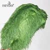 ISEVIAN Colorful Feathers for Craft Wedding Home Party Decorations 40cm and 45cm ostrich feathers