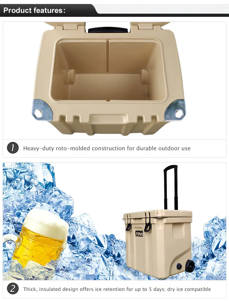 bike ice chest