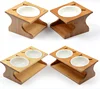 2018 new product raised pet feeder cat , raised pet feeder, elevated pet feeder