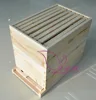 Langstroth Bee hive two layer of bee keep