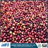 pure natural and organic hand selected fresh arabica raw coffee bean