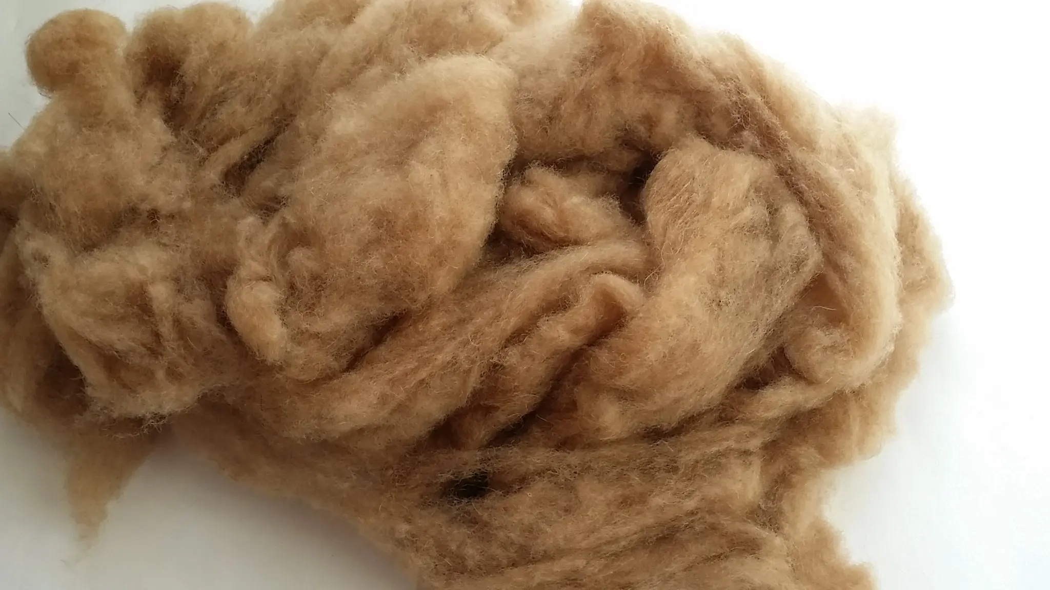 Верблюжья шерсть новосибирск. Camel Wool.