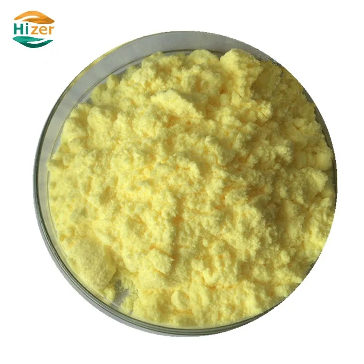 Alpha Lipoic Acid _3.jpg