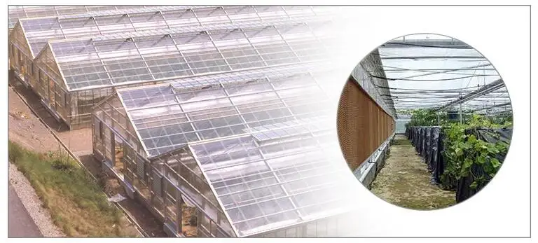 PC sheet greenhouse