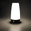 Cold White Decorative LED Table Night Lights