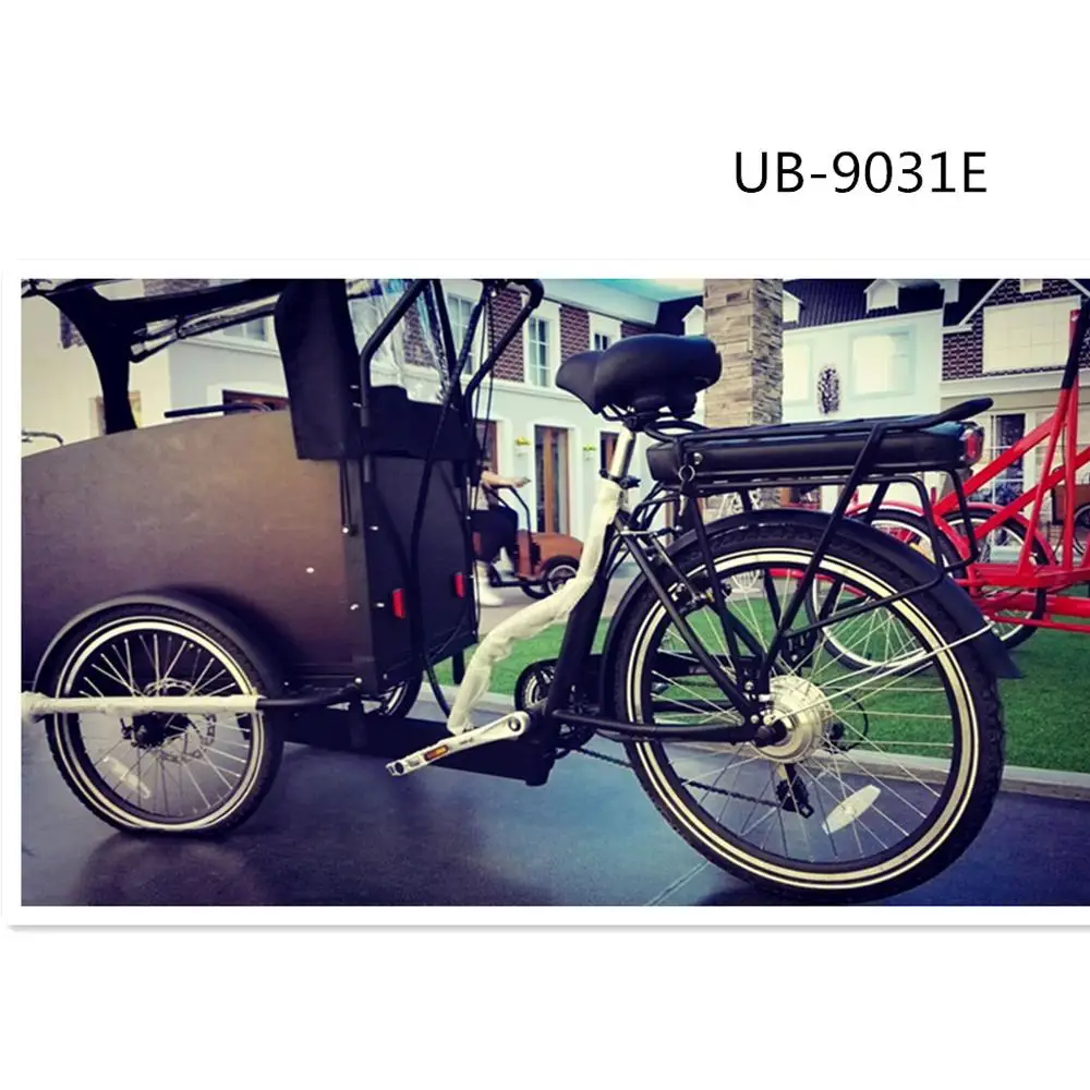Buy Electric Cargo Bike Trike,Bicycle 