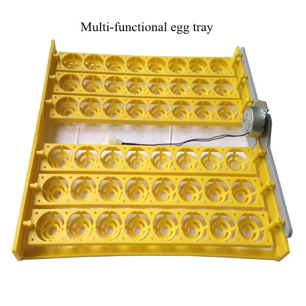 Plastik Quail Baki Quail Telur Ayam Kemasan Quail Telur Karton untuk Penjualan