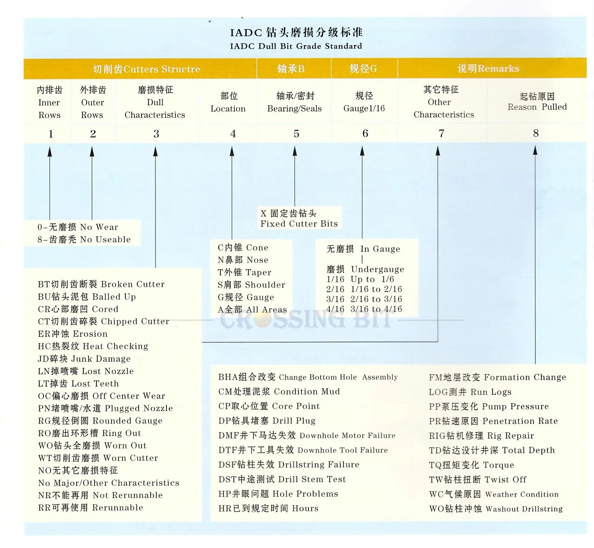 1 001_conew2.jpg