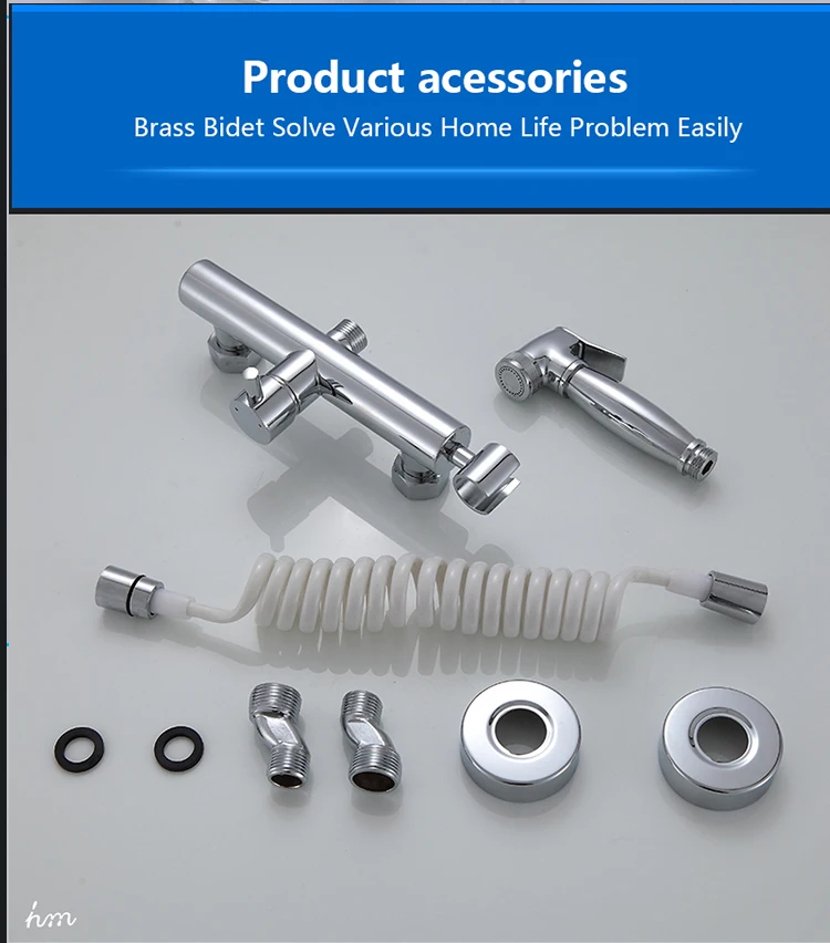 Wall Mounted Chrome Finish Toilet Jet Spray/hygienic Toilet Spray